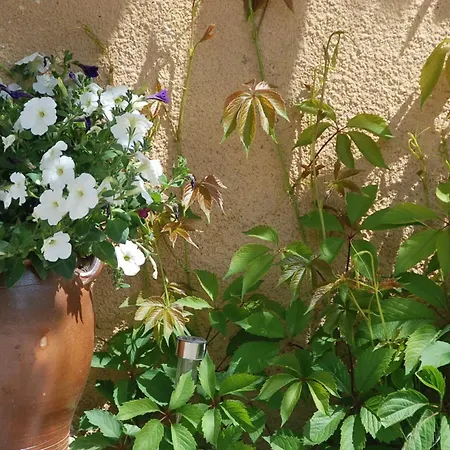 Le Domaine Jean Saint-Saturnin-les-Apt