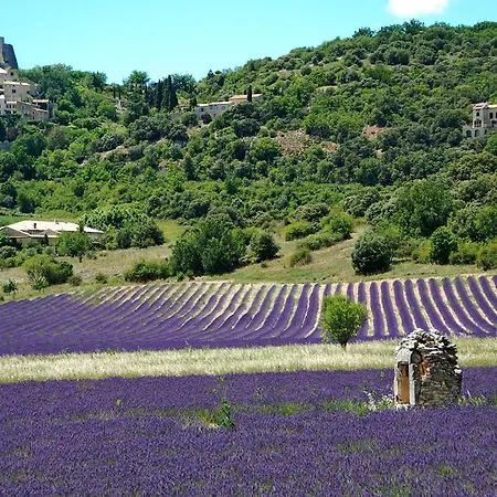 Le Domaine Jean Bed & Breakfast